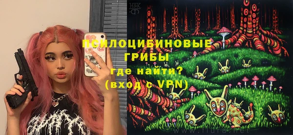 прущие грибы Абаза