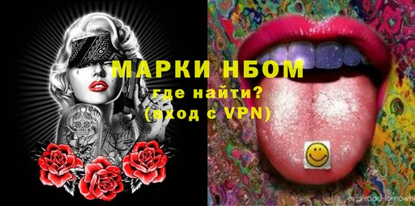 прущие грибы Абаза