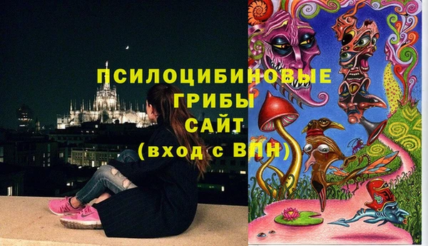 прущие грибы Абаза