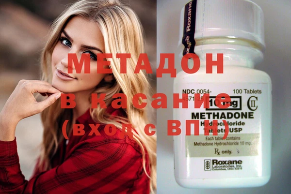 прущие грибы Абаза
