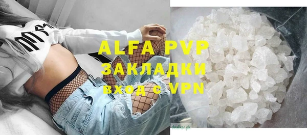прущие грибы Абаза