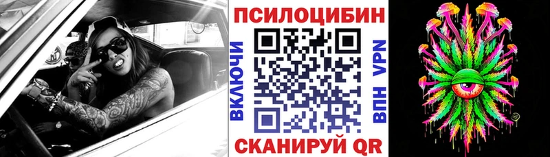 маркетплейс формула  Красавино  Галлюциногенные грибы Cubensis 